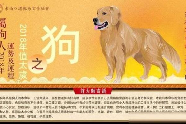 属狗人的名字选取指南,提升运势的最佳命名方式 属狗人的名字选取指南,提升运势的最佳命名方式