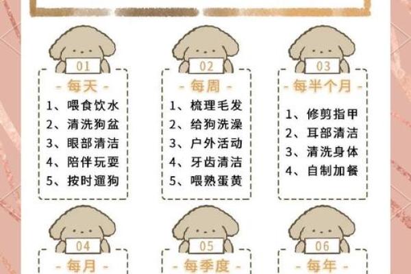狗的运程如何影响感情生活：爱情运势指南