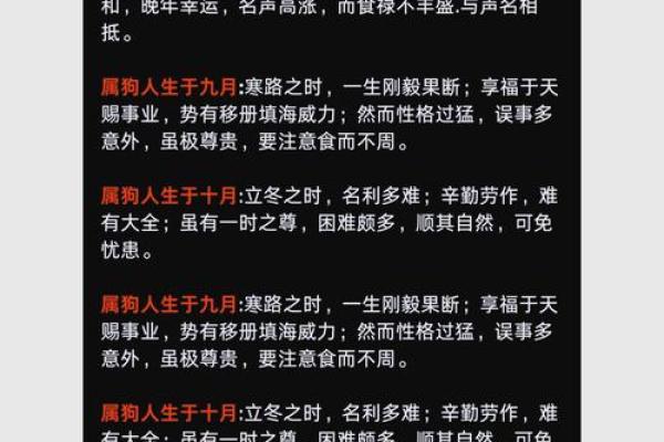 狗的运程如何影响感情生活：爱情运势指南