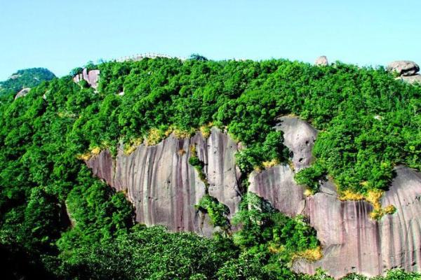 福鼎地区受欢迎的办公风水服务商