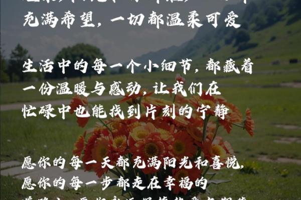 甲子男二婚后,如何应对情感生活中的挑战 甲子男二婚后,如何应对情感生活中的挑战