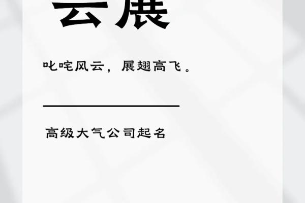 公司名字:如何巧妙融合创意与品牌定位 公司名字:如何巧妙融合创意与品牌定位