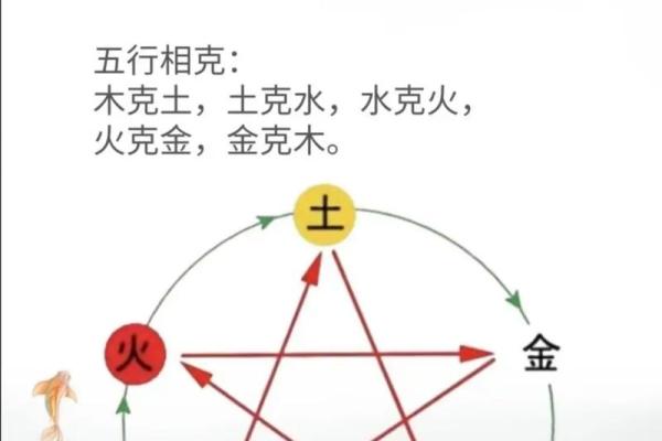 稣五行属是什么?你不知道的五行奥秘揭秘 稣五行属是什么?你不知道的五行奥秘揭秘