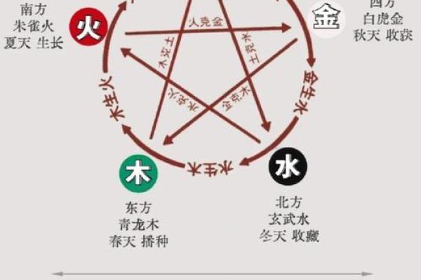 稣五行属是什么?你不知道的五行奥秘揭秘 稣五行属是什么?你不知道的五行奥秘揭秘