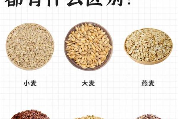 麦字在公司命名中的象征意义及应用技巧