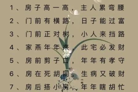 正对马路的房子风水禁忌与改善技巧