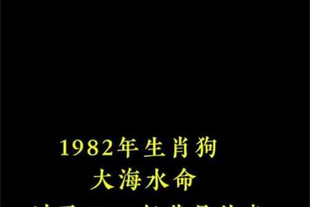 属狗人的名字选取指南，提升运势的最佳命名方式