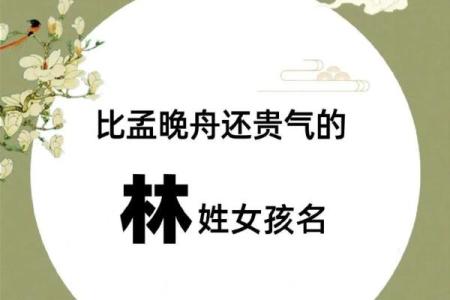 林姓男孩取名推荐与寓意解析