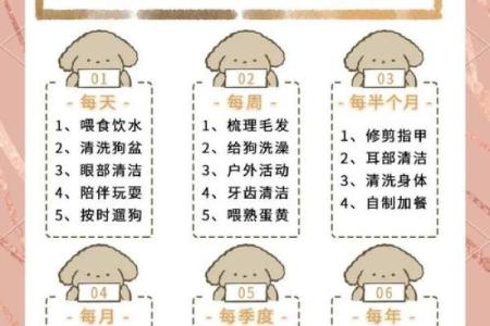 狗的运程如何影响感情生活：爱情运势指南