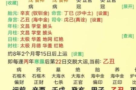 八字有根无根表：揭开命运秘密，如何通过八字看人生根基