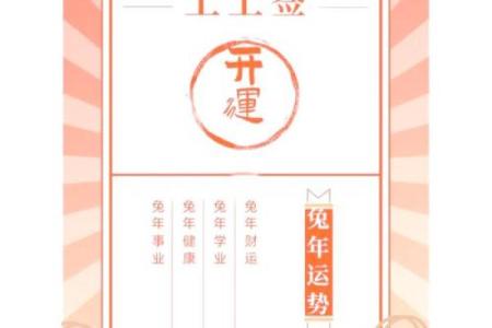 兔人运程解析：事业与财运的双重挑战