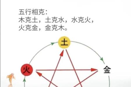 稣五行属是什么？你不知道的五行奥秘揭秘