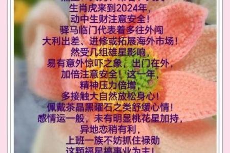 属虎人全年运势分析与建议
