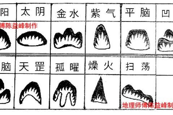 上海风水协会为家庭提供的好运风水指南 上海风水协会为家庭提供的好运风水指南