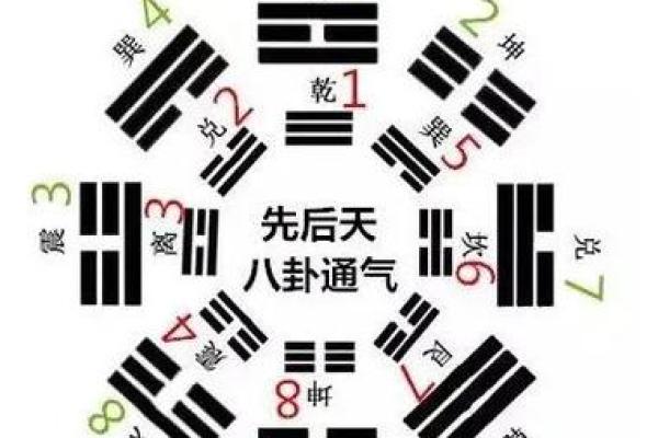 上海风水协会为家庭提供的好运风水指南 上海风水协会为家庭提供的好运风水指南