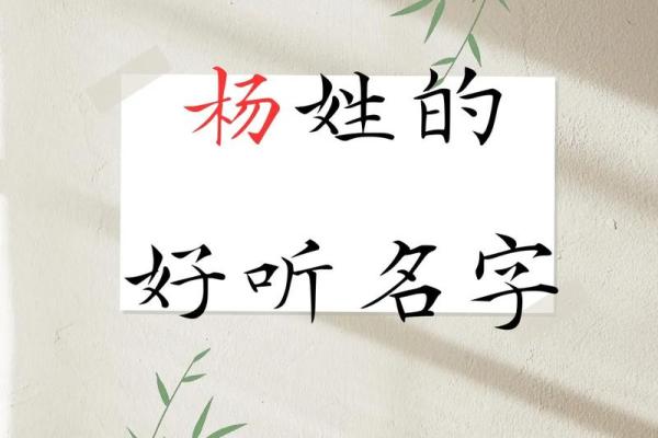 杨字起名的深远含义与文化背景