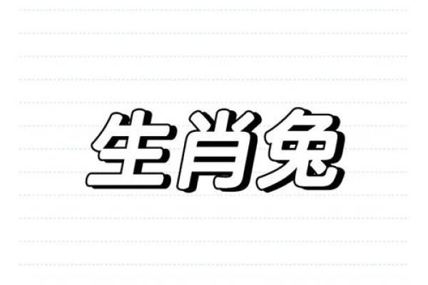 兔人的财运与事业运势全解析 兔人的财运与事业运势全解析