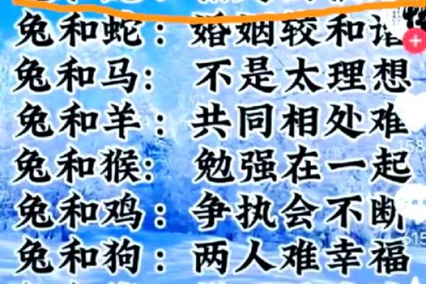 兔人的财运与事业运势全解析 兔人的财运与事业运势全解析