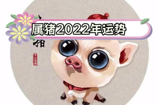 属猪人整体运势如何,未来几年的挑战与机遇 属猪人整体运势如何,未来几年的挑战与机遇