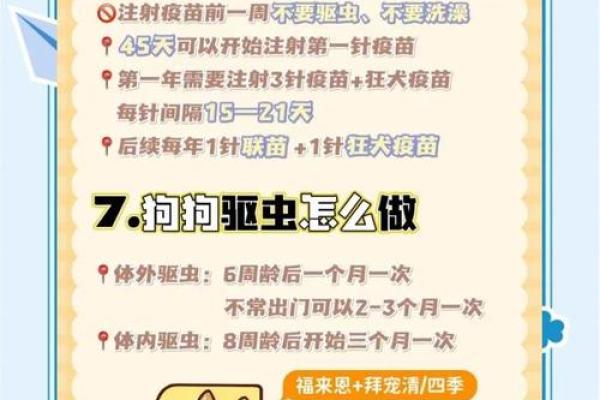 狗生肖运程解析:事业、爱情与财运全方位指南 狗生肖运程解析:事业、爱情与财运全方位指南