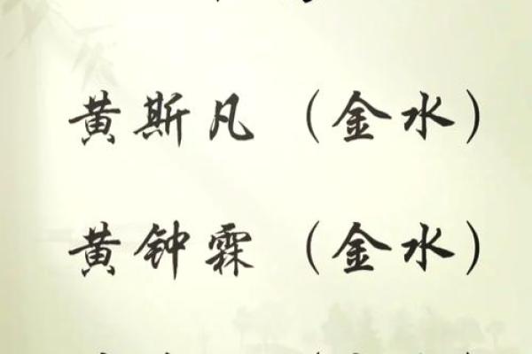 黄姓男宝宝起名指南：寓意深远的选择技巧