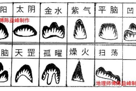 上海风水协会为家庭提供的好运风水指南