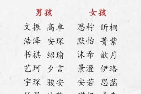 属虎取名：赋予宝宝力量与幸运的名字
