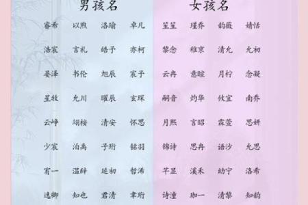 汤宝宝取名指南：如何给宝宝起个既好听又有寓意的名字