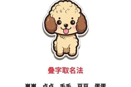 如何根据狗狗性格给狗宝宝起名
