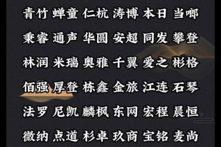 软件公司命名创意大全