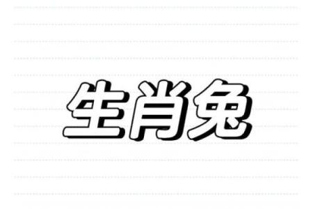 兔人的财运与事业运势全解析