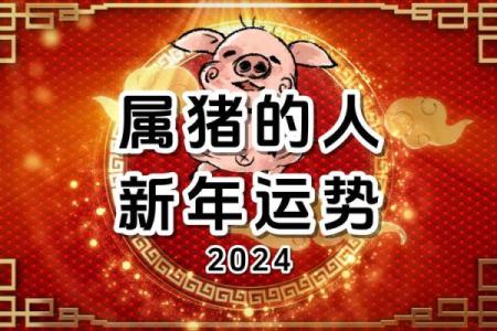 属猪人整体运势如何，未来几年的挑战与机遇