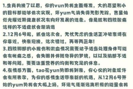 狗生肖运程解析：事业、爱情与财运全方位指南