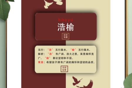 水木属性在公司命名中的运用与意义