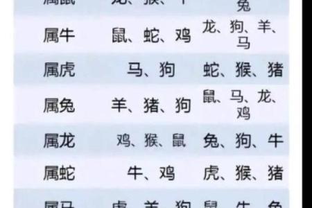 如何为鸡年出生的宝宝挑选一个有意义的名字