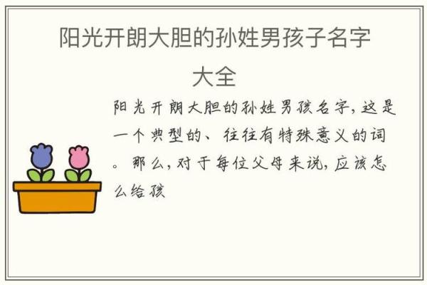孙姓男孩名字大全,助你选择最合适的名字 孙姓男孩名字大全,助你选择最合适的名字