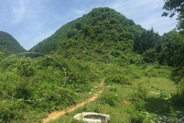 祖传风水大师王君植揭秘传统风水智慧的奥秘 祖传风水大师王君植揭秘传统风水智慧的奥秘