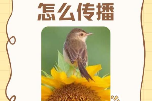 种子公司名字的影响力:如何选一个便于传播的名字 种子公司名字的影响力:如何选一个便于传播的名字