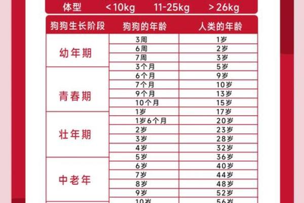 狗年男宝宝命名技巧与推荐 狗年男宝宝命名技巧与推荐