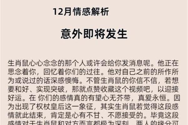 鼠运程:事业、爱情与财运的全面分析 鼠运程:事业、爱情与财运的全面分析