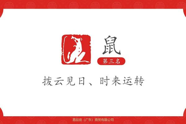 鼠运程:事业、爱情与财运的全面分析 鼠运程:事业、爱情与财运的全面分析