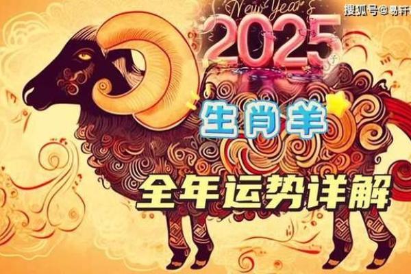 羊人全年运势分析与预测