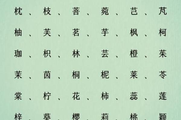 挑选富有寓意的女孩名字,让孩子从名字开始闪耀 挑选富有寓意的女孩名字,让孩子从名字开始闪耀