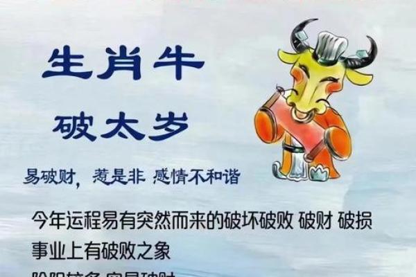 出生属牛人在属牛的人感情与健康运势分析 出生属牛人在属牛的人感情与健康运势分析