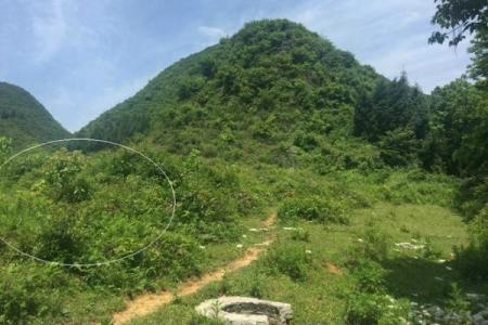 祖传风水大师王君植揭秘传统风水智慧的奥秘