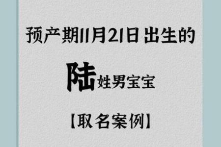 狗年男宝宝命名技巧与推荐