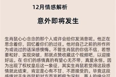 鼠运程：事业、爱情与财运的全面分析