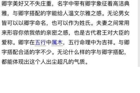 公司起名同名不同行的策略与挑战