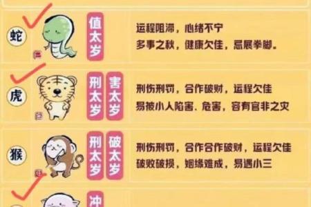 揭秘假纯阳八字的真实面目，你的命运隐藏着哪些秘密？