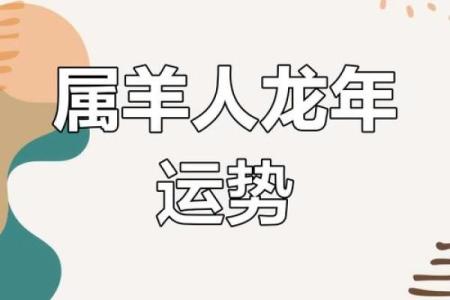 羊人全年运势分析与预测